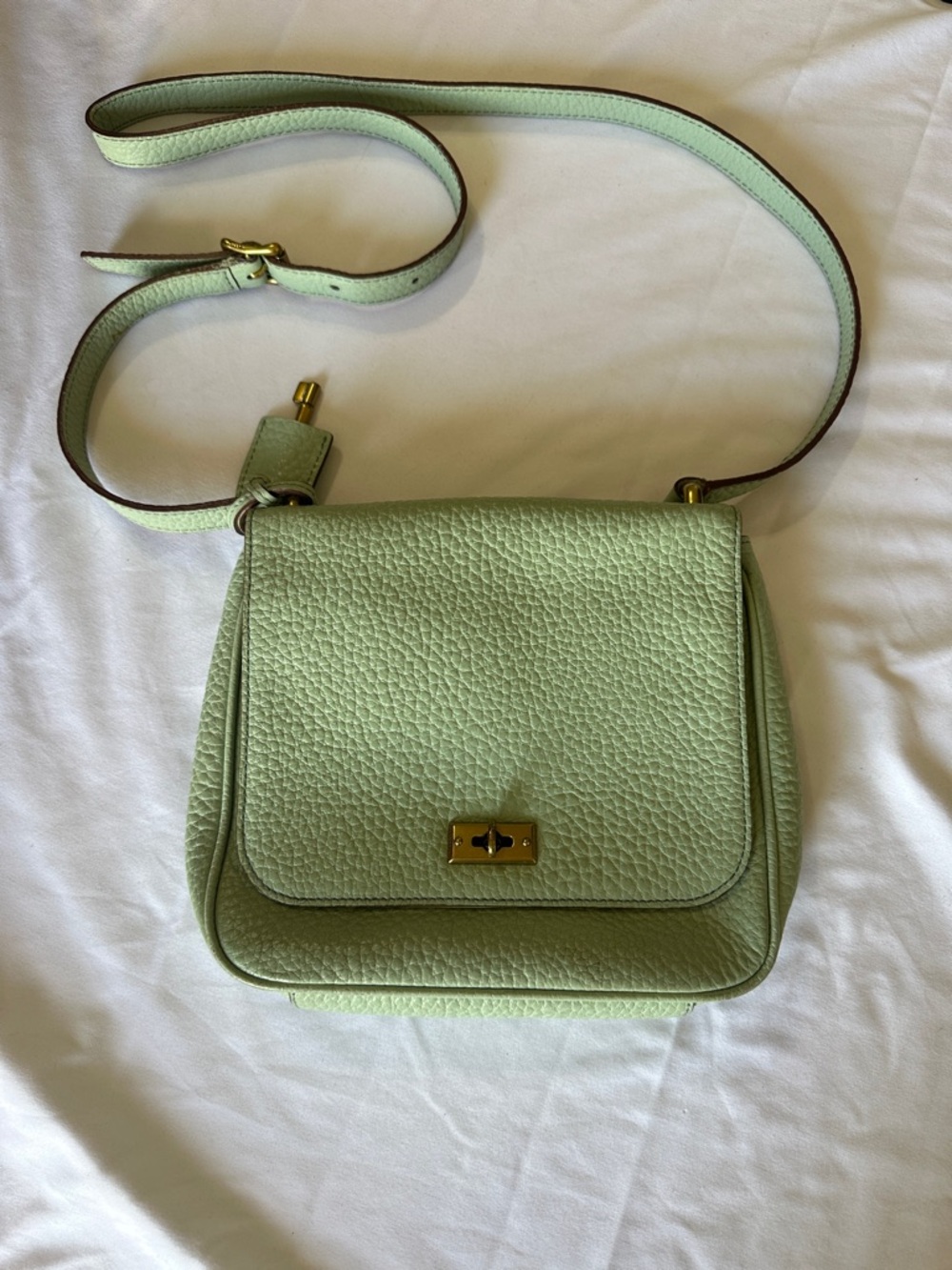 Fossil Mint Green Pebbled Leather Crossbody with Gold Hardware